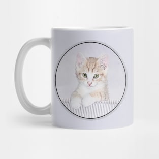 Orange Tabby Kitten Mug